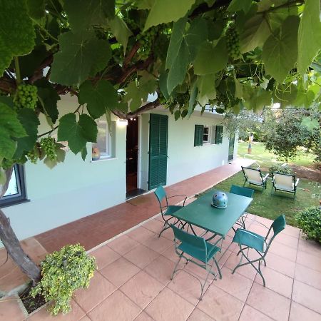Independent Apartment With A Fabulous Patio - Casa Penny Cisano sul Neva Eksteriør bilde
